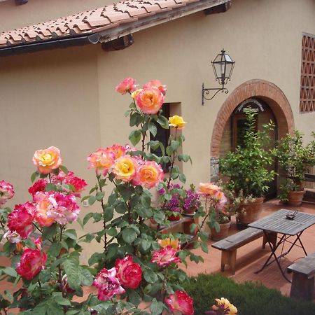 Villa Buonasera Agriturismo Greve in Chianti Dış mekan fotoğraf