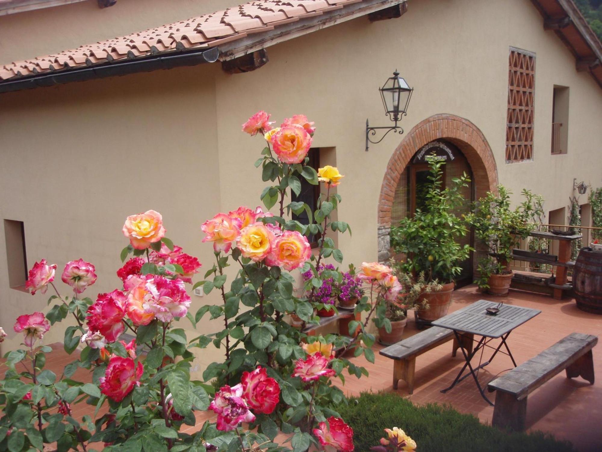 Villa Buonasera Agriturismo Greve in Chianti Dış mekan fotoğraf