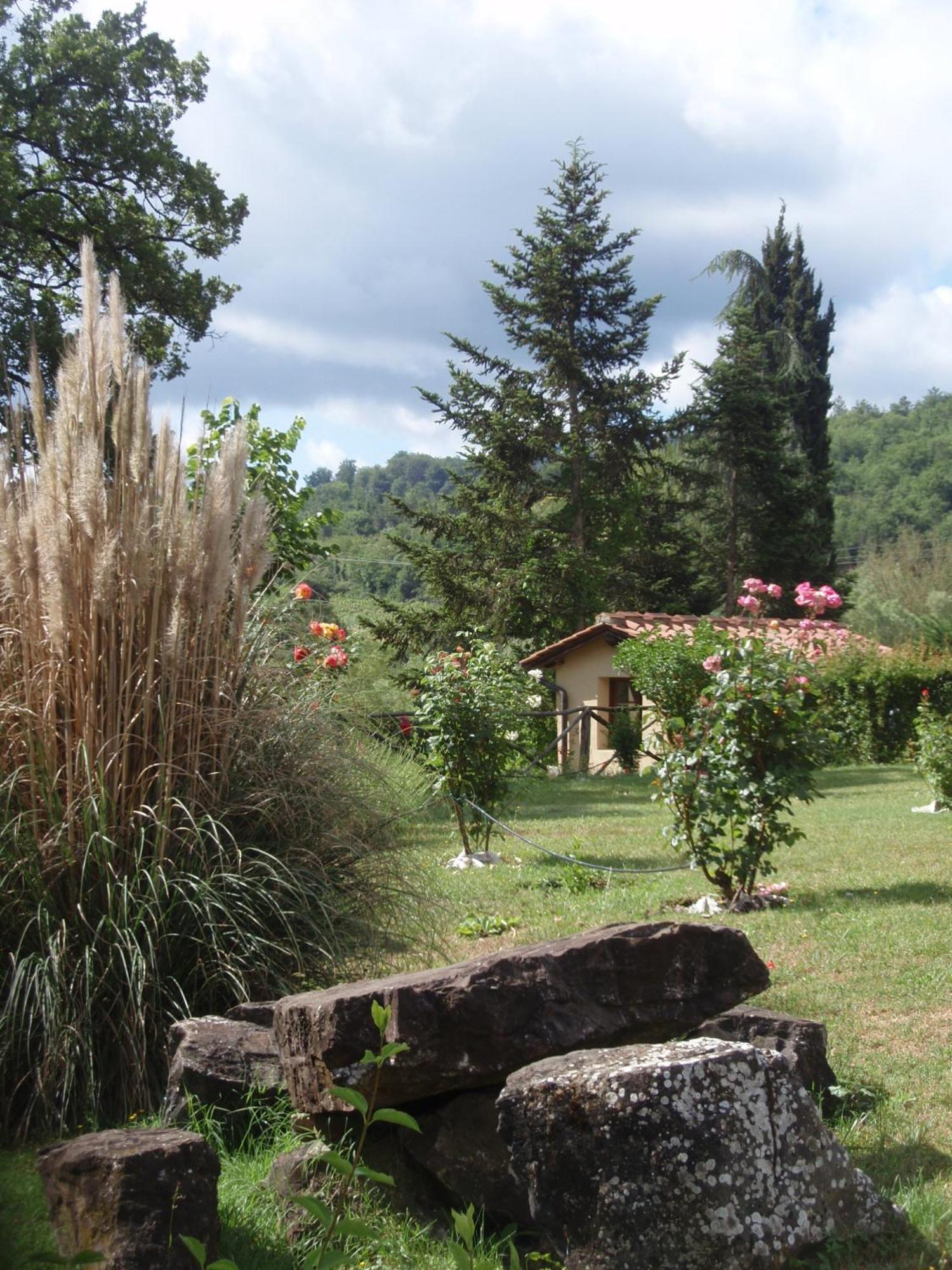 Villa Buonasera Agriturismo Greve in Chianti Dış mekan fotoğraf