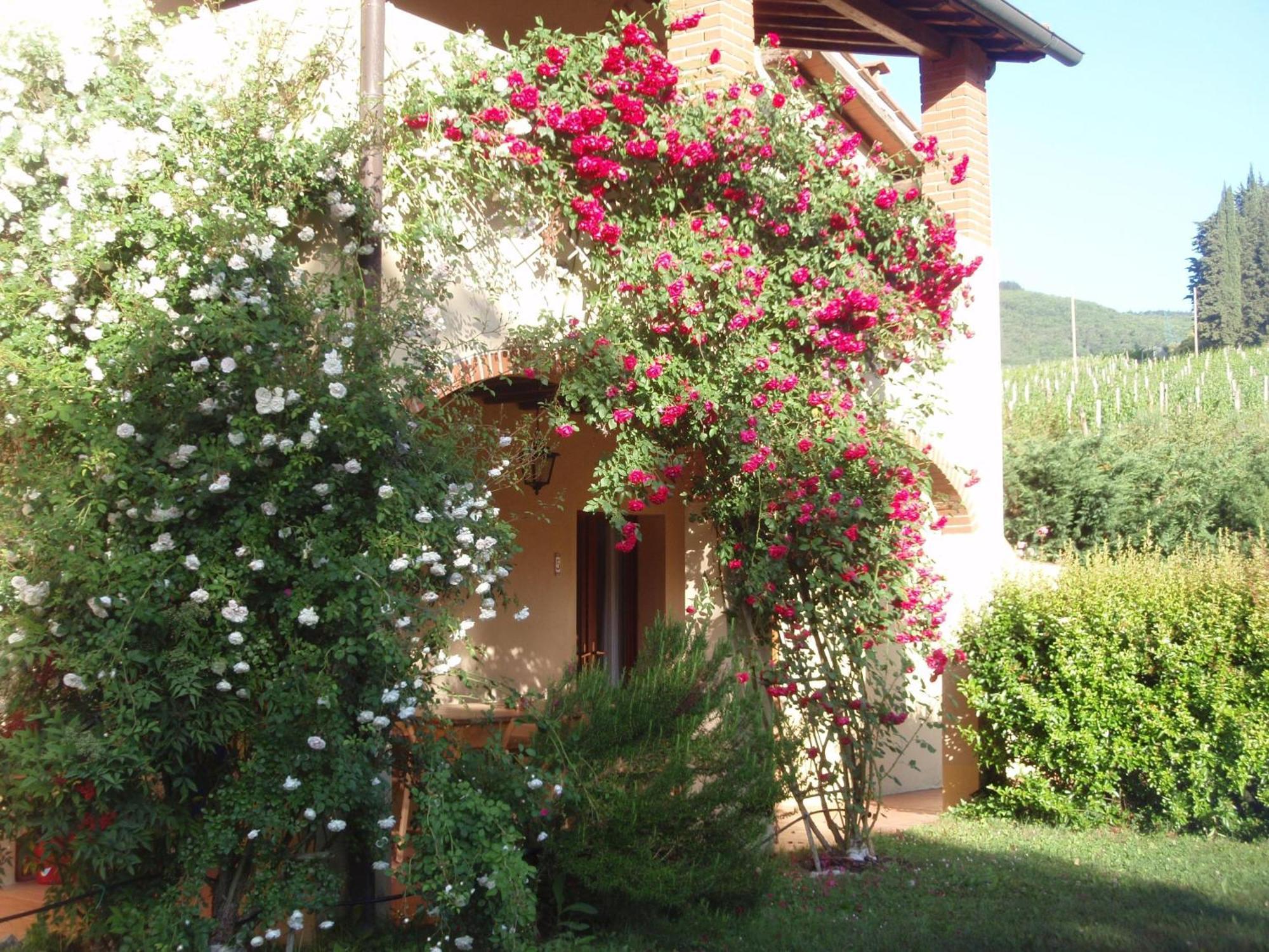 Villa Buonasera Agriturismo Greve in Chianti Dış mekan fotoğraf