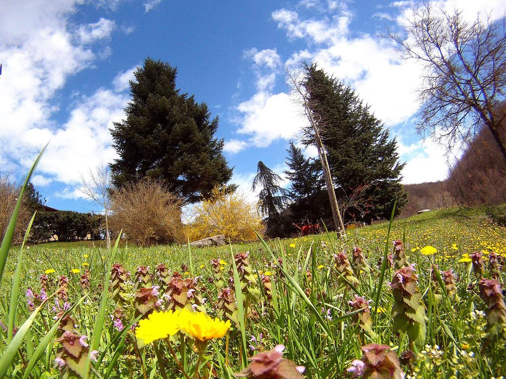 Villa Buonasera Agriturismo Greve in Chianti Dış mekan fotoğraf