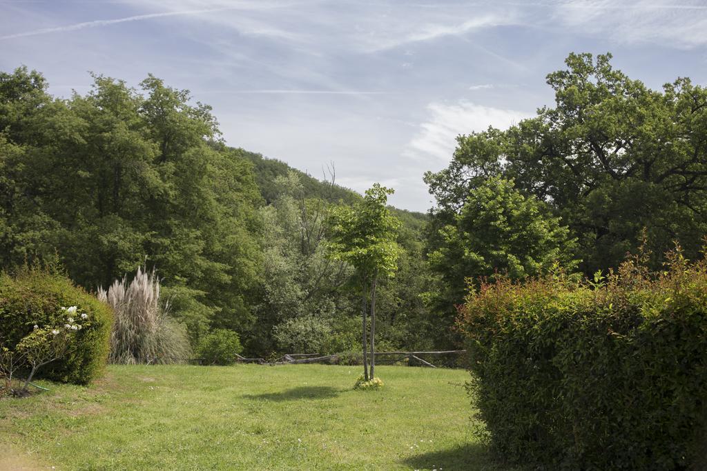 Villa Buonasera Agriturismo Greve in Chianti Dış mekan fotoğraf