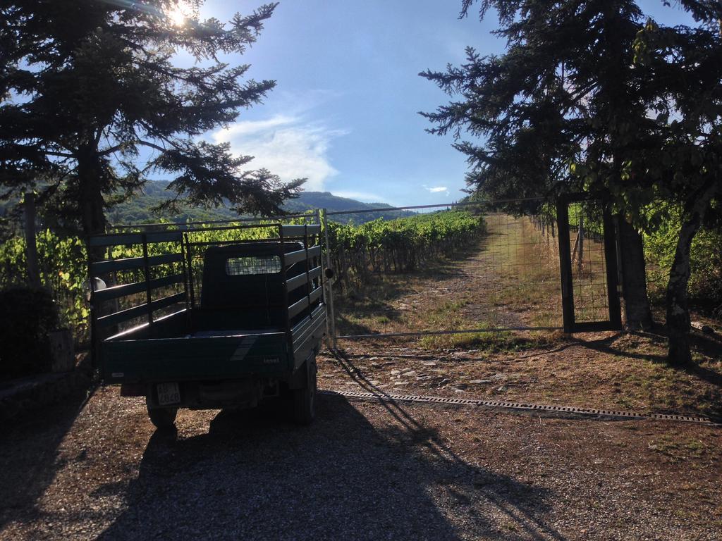 Villa Buonasera Agriturismo Greve in Chianti Dış mekan fotoğraf